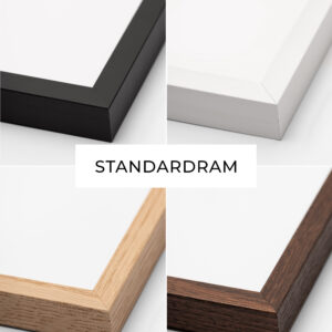 Standard picture frame